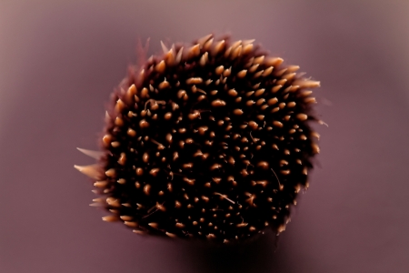 yellow black makeup brushes closeup pictures