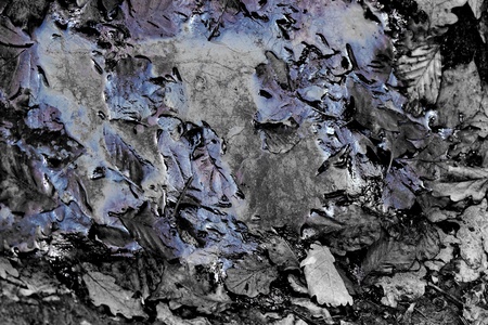 oil pollution on forest landの写真素材