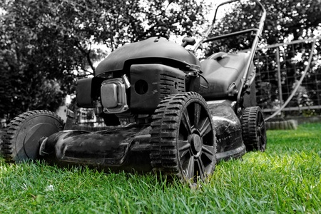 Black lawnmower in the garden lawn the grass with fuel engine bw colorの写真素材