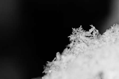 beauty white snowflake crystals on dark backgroundの写真素材