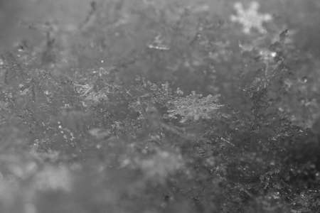 beauty white snowflake crystals on dark background