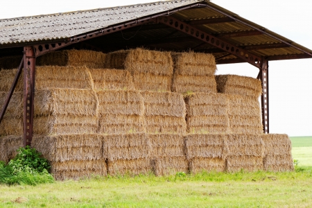 straw bales under the roof in the meadowの写真素材