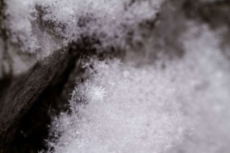 beauty white snowflake crystals on dark backgroundの写真素材