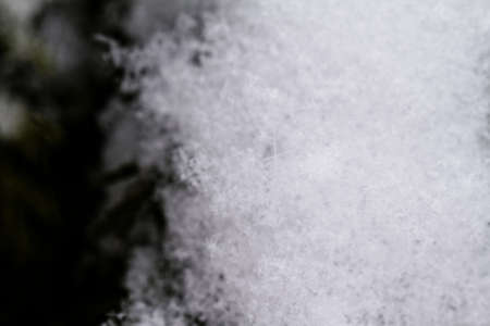 beauty white snowflake crystals on dark backgroundの写真素材