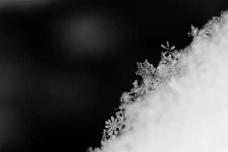 beauty white snowflake crystals on dark backgroundの写真素材