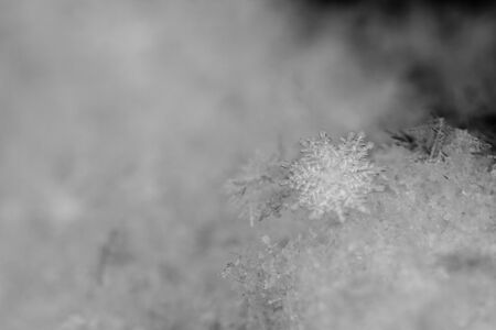 beauty white snowflake crystals on dark backgroundの写真素材