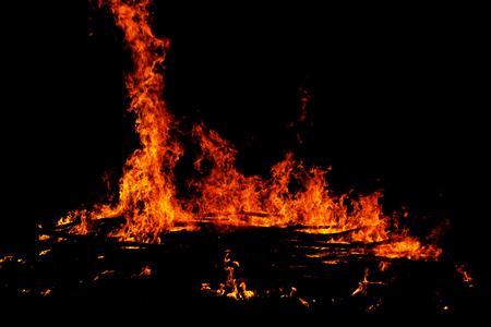 red flames of huge bonfire or campfire as black backgorundの写真素材