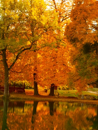 Beautiful colors of autumn landscape by the lakeの写真素材