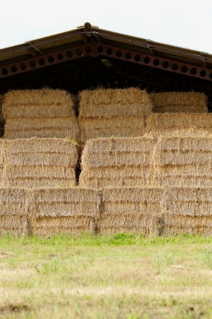 straw bales under the roof in the meadowの写真素材