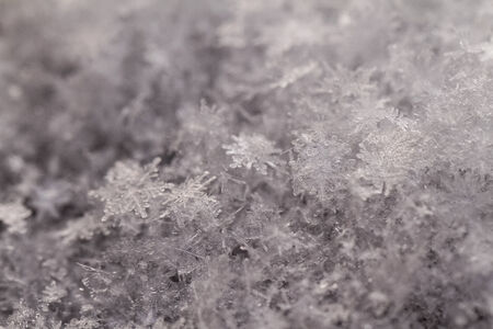 beauty white snowflake crystals on dark backgroundの写真素材