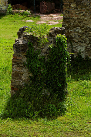 Photo of castle ruins on the hillの写真素材