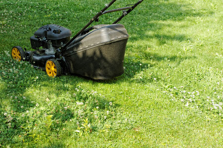 Black lawnmower in the garden lawn the grass with fuel engineの写真素材