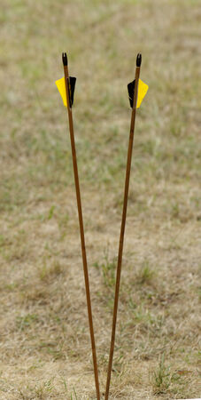 color archery arrows in nature on the groundの写真素材