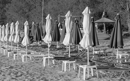 Photo of the golden beach in Thassos Panagia - Greeceの写真素材