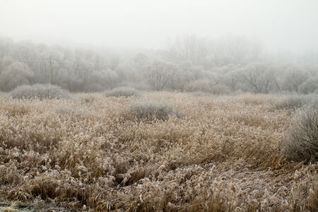Beautiful white landscape in winter in the pastureの写真素材
