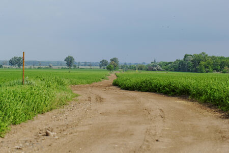 Photo of a dirt road, green grass and blue skyの写真素材