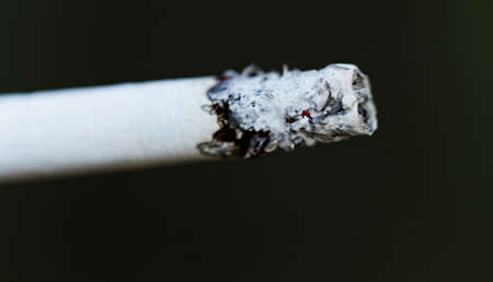 Smoking a cigarette against a dark backgroundの写真素材