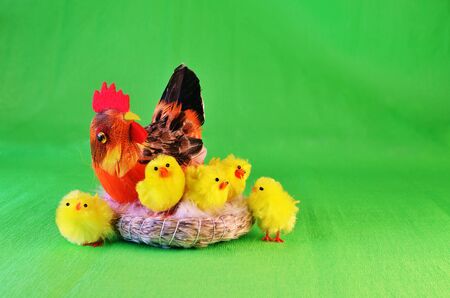 Hen with sixの写真素材