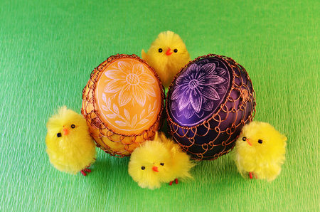 Easter eggs and chicksの写真素材