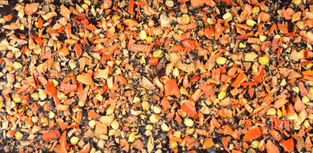 Dark chocolate with jalapeno peppers as a color background.の写真素材