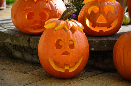 Overview of our freshly carved pumpkins for Halloween.の写真素材