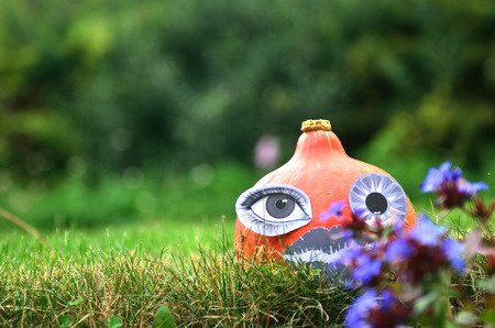Pumpkin with paper supplements in the grassの写真素材