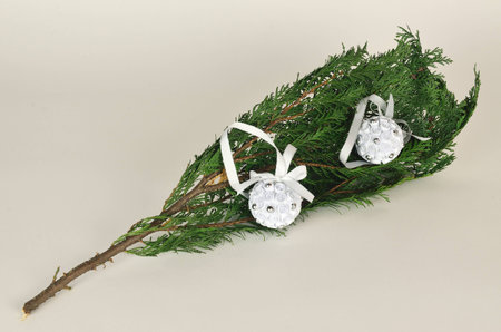 Christmas paper decorations on the green twigの写真素材