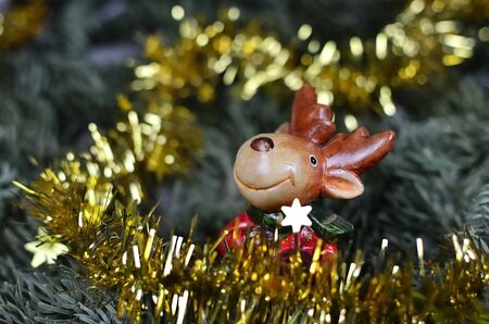 Young reindeer stands  behind the gold star and a gold Christmas chainの写真素材