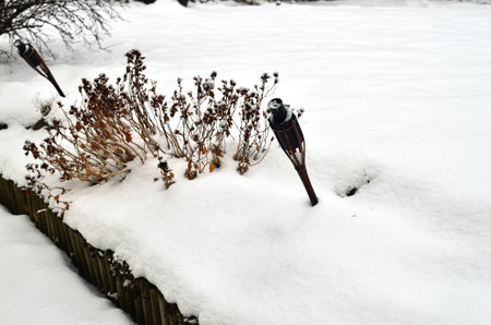 The forgotten torch in our snowy gardenの写真素材