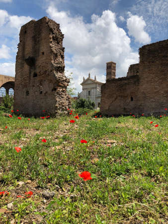 Eternity. Rome 2019のeditorial素材