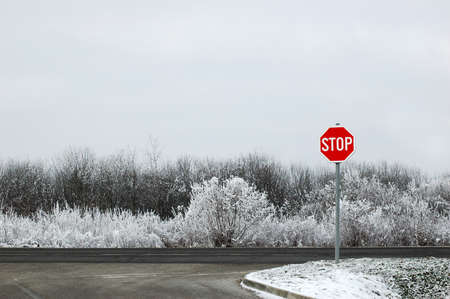 Red road sign stop on winter almost black and white backgroundの写真素材