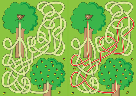 Squirrel maze for kids with a solutionのイラスト素材