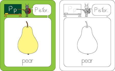 Flashcard for English language - letter P is for pearのイラスト素材