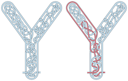 Maze in the shape of capital letter Y - worksheet for learning alphabetのイラスト素材