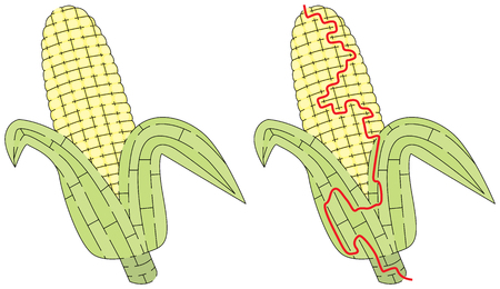 Corn maze for kids with a solution background.のイラスト素材