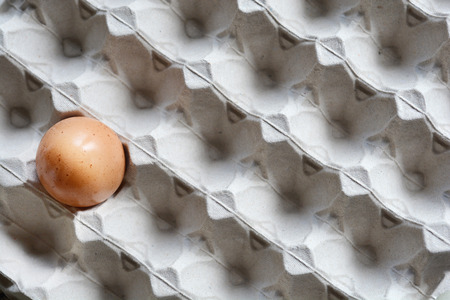 Only one egg on a large egg cartonの写真素材