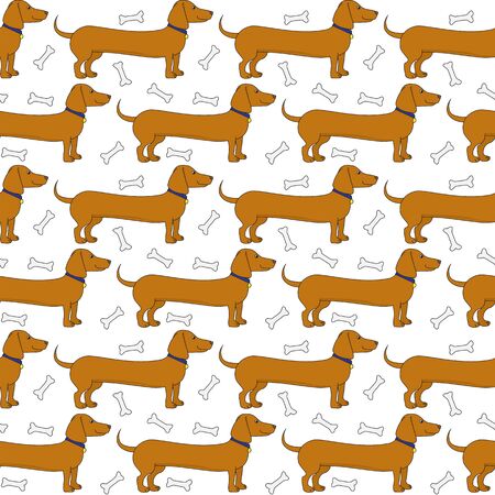 Seamless pattern made of illustrated cartoon dachshunds on whiteのイラスト素材