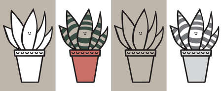 Illustrated succulent cartoon plant in black and white, color, outline and gray and blackのイラスト素材