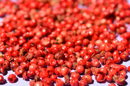 Pile of pink peppercorn on paper background