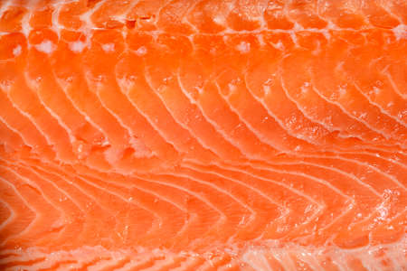 Close-up detail of a raw salmon filletの写真素材