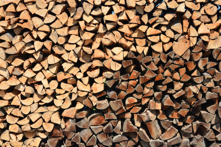 Pile of split logs detail backgroundの写真素材