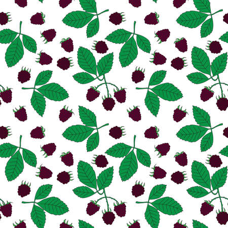 Seamless illustrated pattern made of blackberries and leaves on whiteのイラスト素材