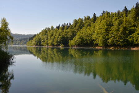 Detail of Lake Lokve (Lokvarsko Lake) in Gorski Kotar in Croatia