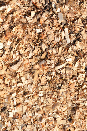Detail of a ground covered in light brown sawdustの写真素材