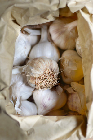 Close up of paper bag filled with garlic bulbsの写真素材