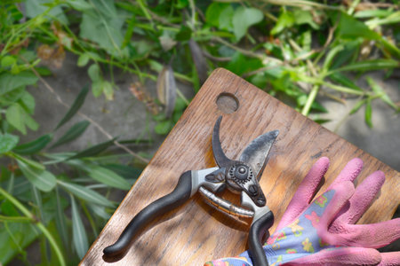 Pruning shears and gloves on a wooden stool with trimmings on the ground behindの写真素材