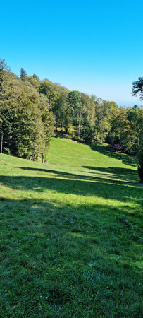 A green meadow on Medvednica (Cinovnicka livada)の写真素材