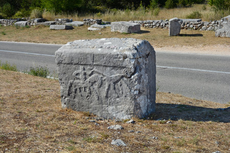 Necropolis Velika and Mala Crljivica (Big and Small Crljivica) near the village of Cista Velika in Croatia with tombstones decorated with intricate carvingsの写真素材