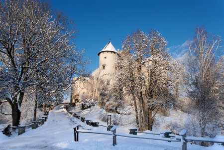 Medieval Dunajec Castle in Niedzica, Poland, at sunset light in winter.のeditorial素材
