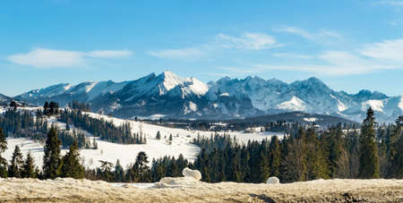 Panorama of Tatra mountains , eastern part, in winter, viewed from a road in Bukowina Tatrzanska in...